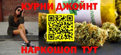 шишки Гай